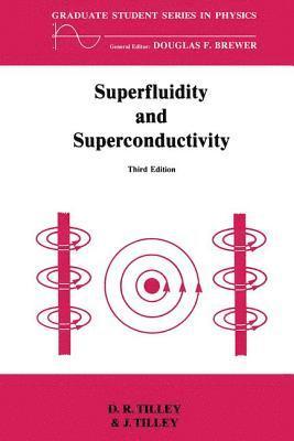 bokomslag Superfluidity and Superconductivity