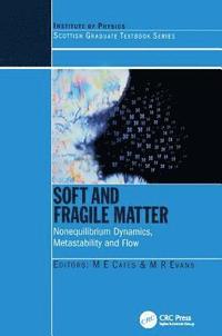 bokomslag Soft and Fragile Matter