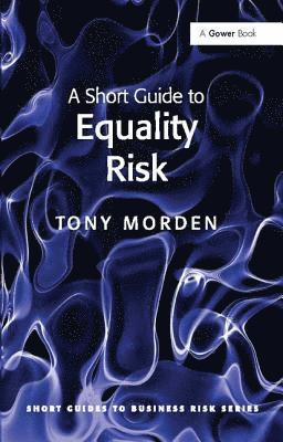 Short Guide to Equality Risk