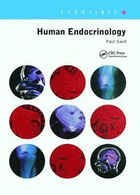 bokomslag Human Endocrinology