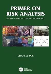 bokomslag Primer on Risk Analysis