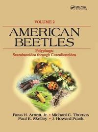 bokomslag American Beetles, Volume II