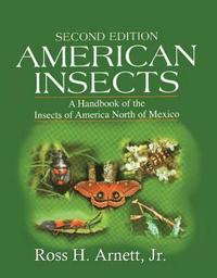 bokomslag American Insects
