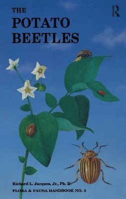 bokomslag Potato Beetles