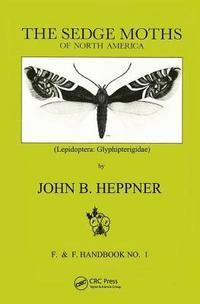 bokomslag Sedge Moths of North America, The (Lepidoptera