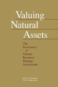 bokomslag Valuing Natural Assets