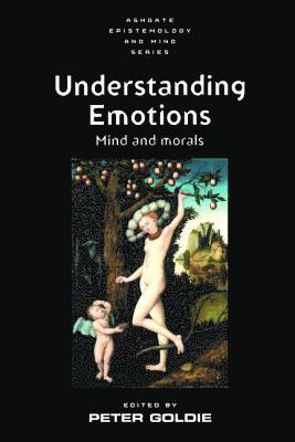 bokomslag Understanding Emotions