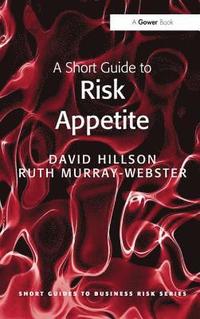 bokomslag A Short Guide to Risk Appetite