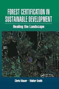bokomslag Forest Certification in Sustainable Development