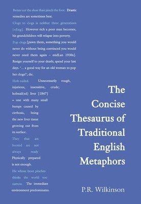 bokomslag Concise Thesaurus of Traditional English Metaphors