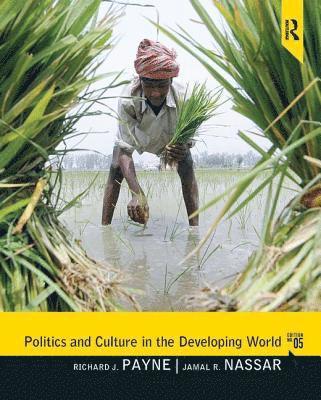 bokomslag Politics and Culture in the Developing World