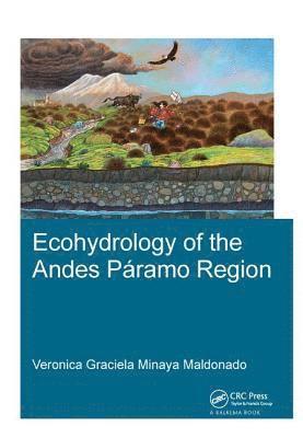 bokomslag Ecohydrology of the Andes Pramo Region