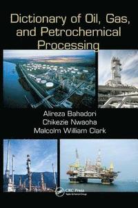 bokomslag Dictionary of Oil, Gas, and Petrochemical Processing