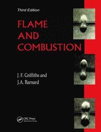 bokomslag Flame and Combustion