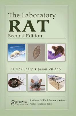 The Laboratory Rat 1