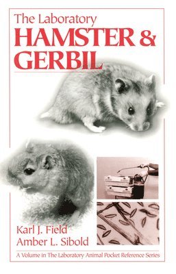 bokomslag The Laboratory Hamster and Gerbil