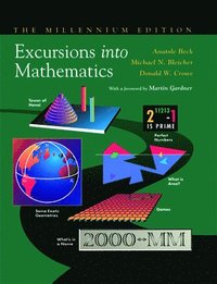 bokomslag Excursions into Mathematics