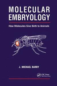 bokomslag Molecular Embryology