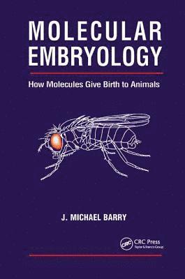 Molecular Embryology 1