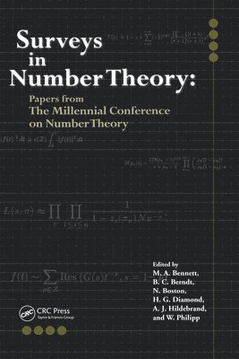 bokomslag Surveys in Number Theory