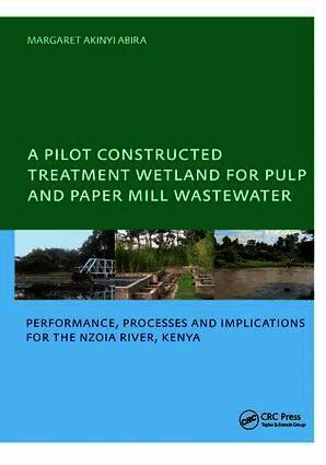Margaret Akinyi Abira - Pilot Constructed Treatment Wetland for Pulp and Paper Mill Wastewater, Inbunden