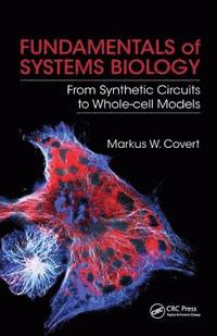 bokomslag Fundamentals of Systems Biology