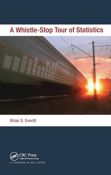 Brian Everitt - Whistle-Stop Tour of Statistics, Inbunden