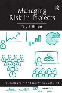 bokomslag Managing Risk in Projects
