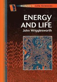 bokomslag Energy And Life