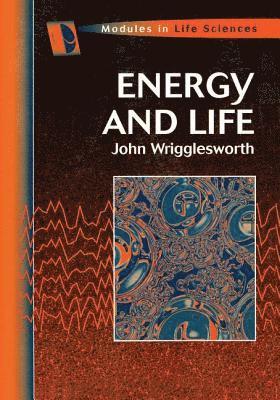 Energy And Life 1