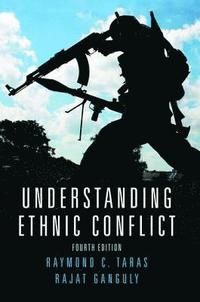bokomslag Understanding Ethnic Conflict