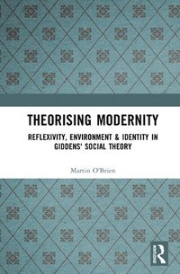 bokomslag Theorising Modernity