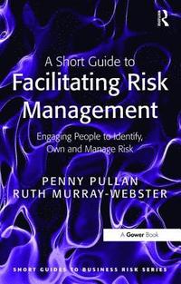 bokomslag A Short Guide to Facilitating Risk Management