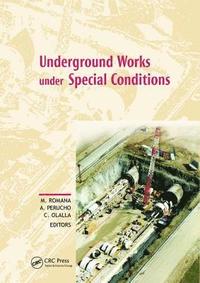 bokomslag Underground Works under Special Conditions