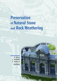 bokomslag Preservation of Natural Stone and Rock Weathering