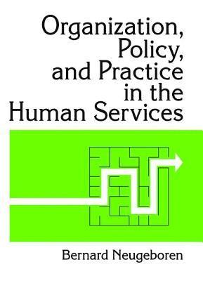 bokomslag Organization, Policy, and Practice in the Human Services