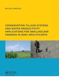 bokomslag Conservation Tillage Systems and Water Productivity - Implications for Smallholder Farmers in Semi-Arid Ethiopia
