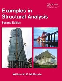 bokomslag Examples in Structural Analysis