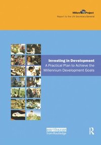 bokomslag UN Millennium Development Library: Investing in Development
