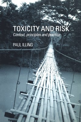 bokomslag Toxicity and Risk