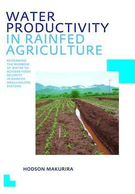 bokomslag Water Productivity in Rainfed Agriculture