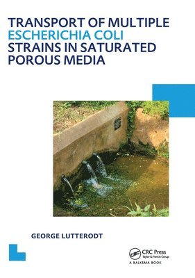 bokomslag Transport of multiple Escherichia coli strains in saturated porous media