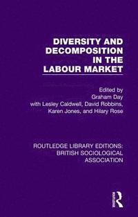 bokomslag Diversity and Decomposition in the Labour Market