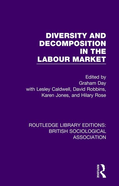 David Robbins, Lesley Caldwell, Graham Day, Karen Jones, Hilary Rose - Diversity and Decomposition in the Labour Market, Häftad