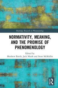 bokomslag Normativity, Meaning, and the Promise of Phenomenology