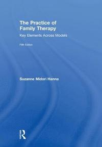 bokomslag The Practice of Family Therapy