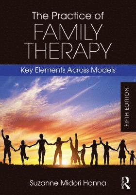 bokomslag The Practice of Family Therapy