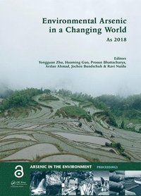 bokomslag Environmental Arsenic in a Changing World