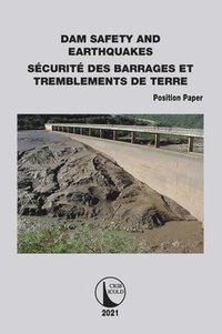 bokomslag Position Paper Dam Safety and Earthquakes