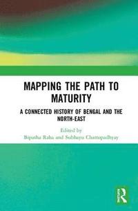 bokomslag Mapping the Path to Maturity